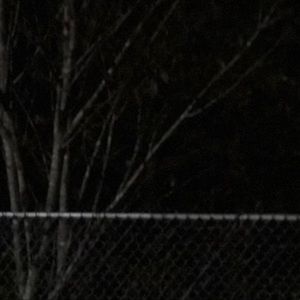 Meet your Posher, Isabella